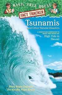 Tsunamis and Other Natural Disasters