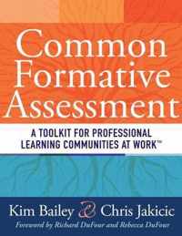 Common Formative Assessment