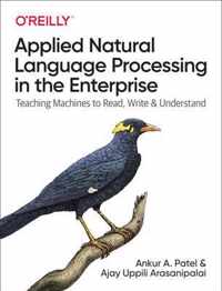 Applied Natural Language Processing in the Enterprise