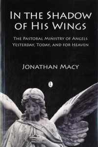 In the Shadow of his Wings: The Pastoral Ministry of Angels