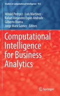 Computational Intelligence for Business Analytics