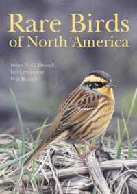 Rare Birds of North America