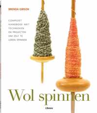 Wol spinnen