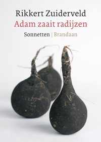 Adam zaait radijzen