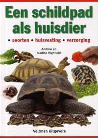 Een schildpad als huisdier