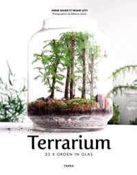 Terrarium