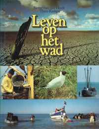 Leven op het wad