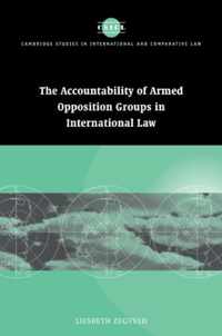 Accountability of Armed Opposition Groups in International Law