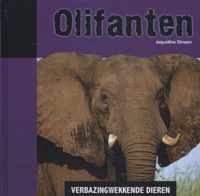 Verbazingwekkende dieren  -   Olifanten