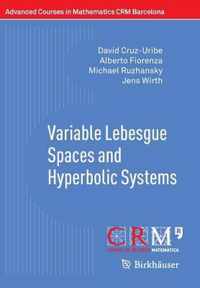 Variable Lebesgue Spaces and Hyperbolic Systems