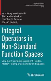 Integral Operators in Non Standard Function Spaces