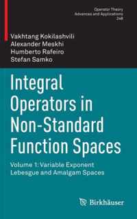 Integral Operators in Non-Standard Function Spaces: Volume 1: Variable Exponent Lebesgue and Amalgam Spaces