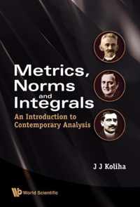 Metrics, Norms And Integrals