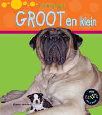 Verhoudingen  -   Groot en klein