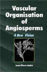 Vascular Organization of Angiosperms