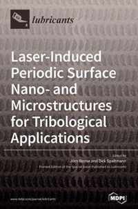 Laser-Induced Periodic Surface Nano- and Microstructures for Tribological Applications