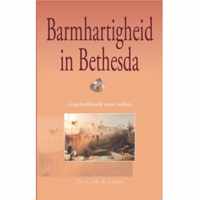 Barmhartigheid in bethesda