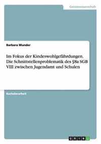 Im Fokus der Kindeswohlgefahrdungen. Die Schnittstellenproblematik des 8a SGB VIII zwischen Jugendamt und Schulen