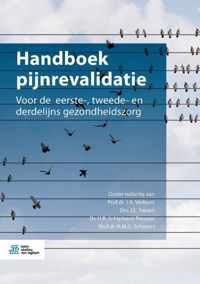 Handboek pijnrevalidatie