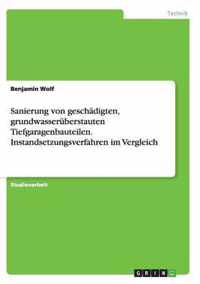 Sanierung von geschadigten, grundwasseruberstauten Tiefgaragenbauteilen. Instandsetzungsverfahren im Vergleich