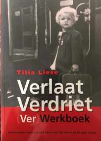 FunFocus 2 -   Verlaat Verdriet (Ver)Werkboek