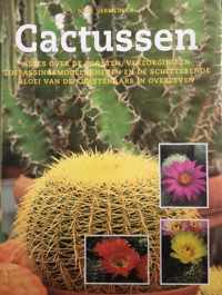 Cactussen