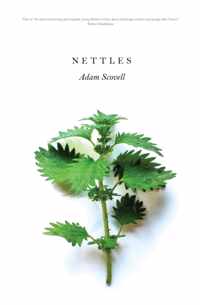 Nettles