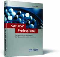 Sap Bw Professional