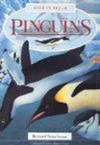 Pinguins