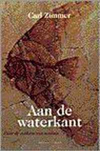 Aan de waterkant: over de evolutie van soorten