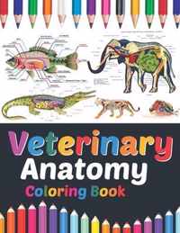 Veterinary Anatomy Coloring Book