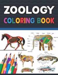 Zoology Coloring Book