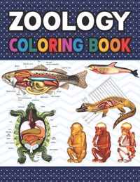 Zoology Coloring Book