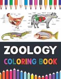 Zoology Coloring Book