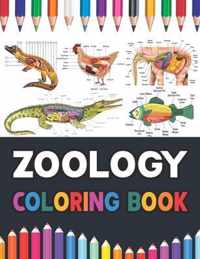 Zoology Coloring Book