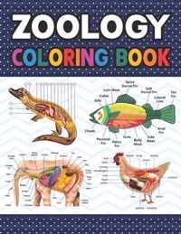 Zoology Coloring Book