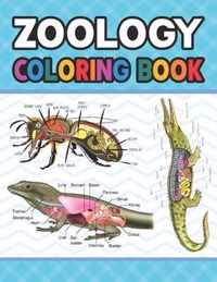 Zoology Coloring Book