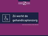 Zó werkt de gehandicaptenzorg