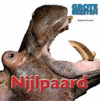 Grote Beesten  -   Nijlpaard