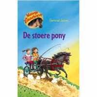 Manege de Zonnehoeve - De stoere pony