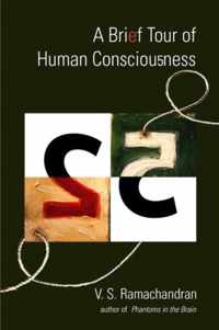 A Brief Tour of Human Consciousness