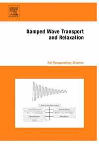 Damped Wave Transport and Relaxation