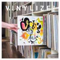 Vinylize - Paperback (9789082308648)