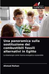 Una panoramica sulla sostituzione dei combustibili fossili alternativi in Egitto