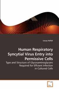 Human Respiratory Syncytial Virus Entry into Permissive Cells