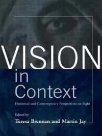 Vision in Context