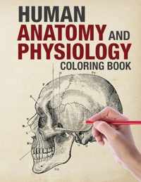 Human Anatomy and Physiology Coloring Book