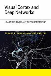 Visual Cortex and Deep Networks