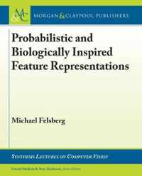 Probabilistic and Biologically Inspired Feature Representations