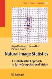 Natural Image Statistics